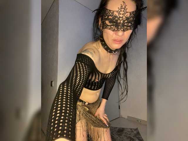 FoxAlice2026 Live Cam and Statistics on UnifiedCams