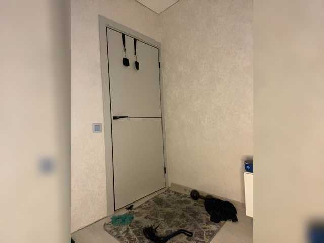 Preview of foxalice2026