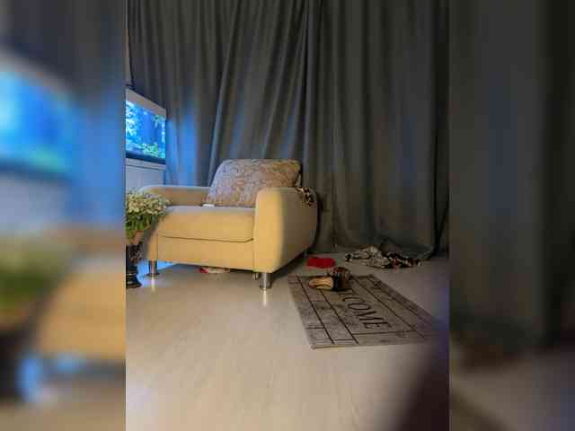 FoxAlice2026 webcam