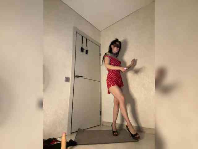 FoxAlice2026 webcam