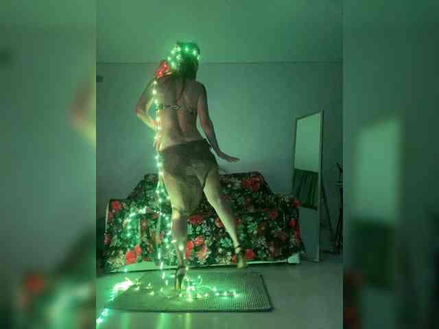 FoxAlice2026 webcam