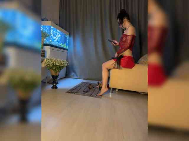 FoxAlice2026 webcam