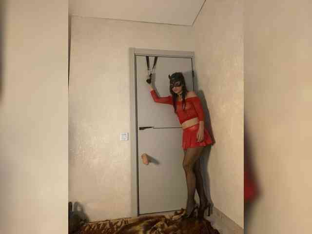 FoxAlice2026 webcam