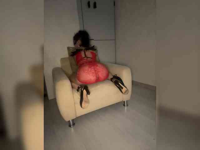 FoxAlice2026 webcam