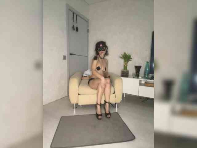 FoxAlice2026 webcam
