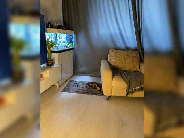 FoxAlice2026 webcam