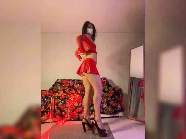 FoxAlice2026 webcam