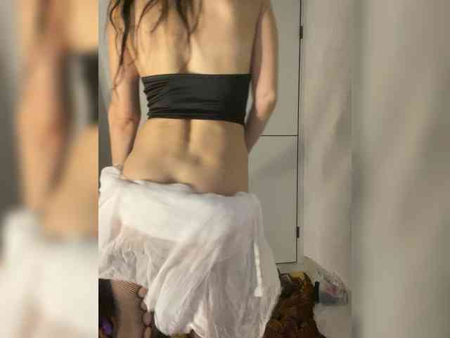 FoxAlice2026 webcam