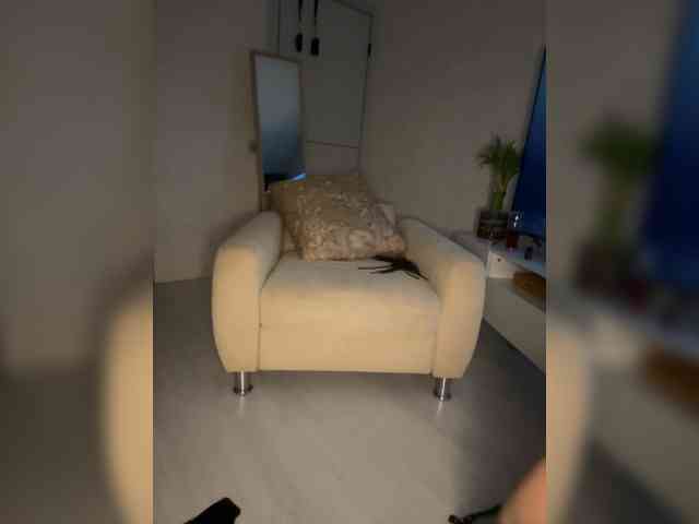 FoxAlice2026 webcam