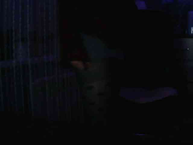 Angelina-- webcam