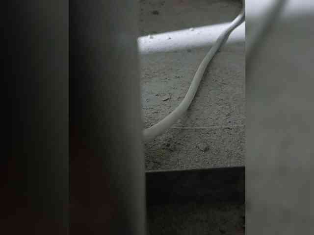 lionking2 lionking2
