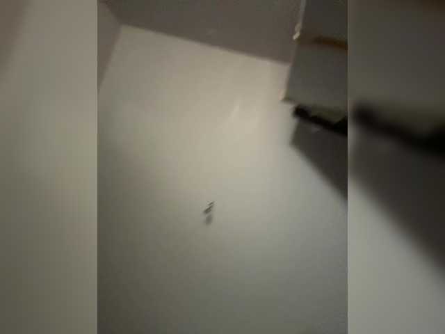 NotBellucci live webcam