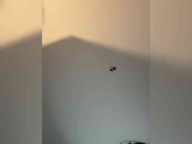 NotBellucci webcam