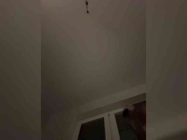 NotBellucci webcam