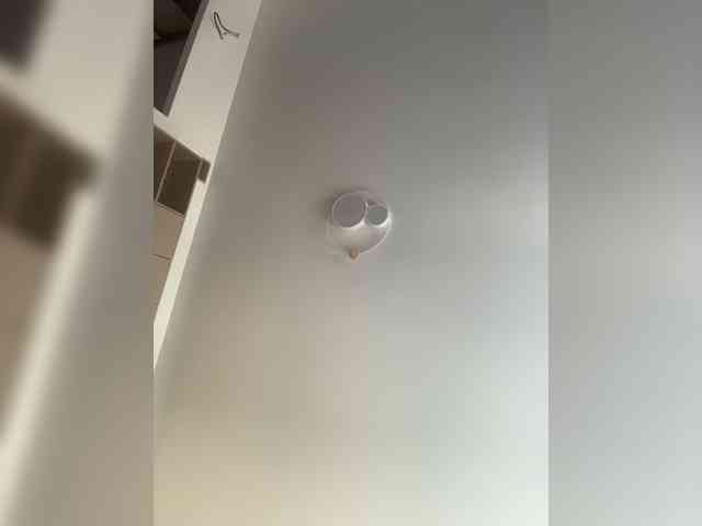 NotBellucci webcam