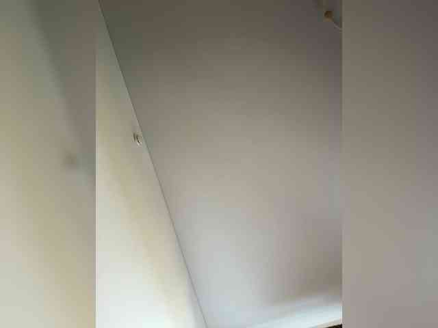 NotBellucci webcam