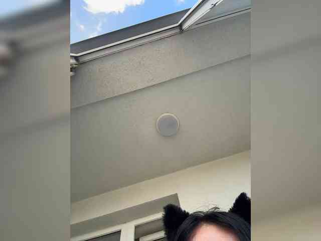 NotBellucci webcam