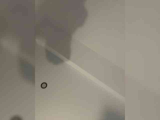 NotBellucci webcam