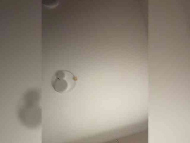 NotBellucci webcam