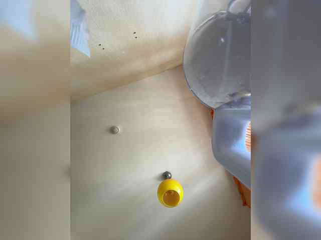 NotBellucci webcam
