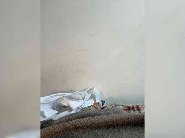 NotBellucci webcam