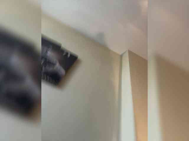 NotBellucci webcam