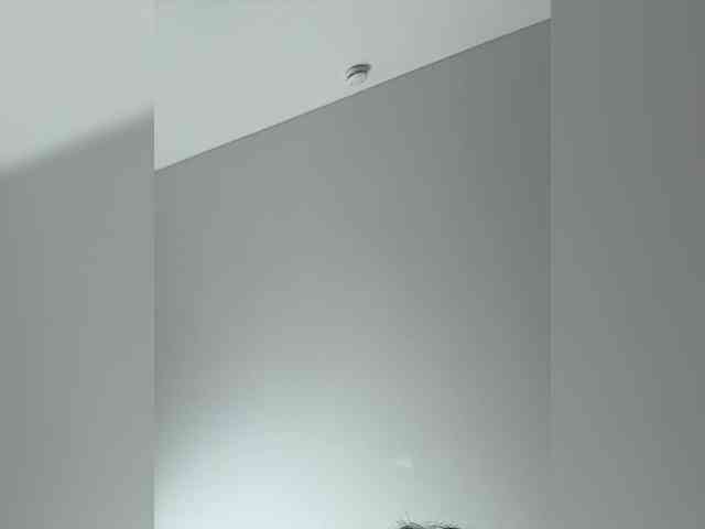 NotBellucci webcam