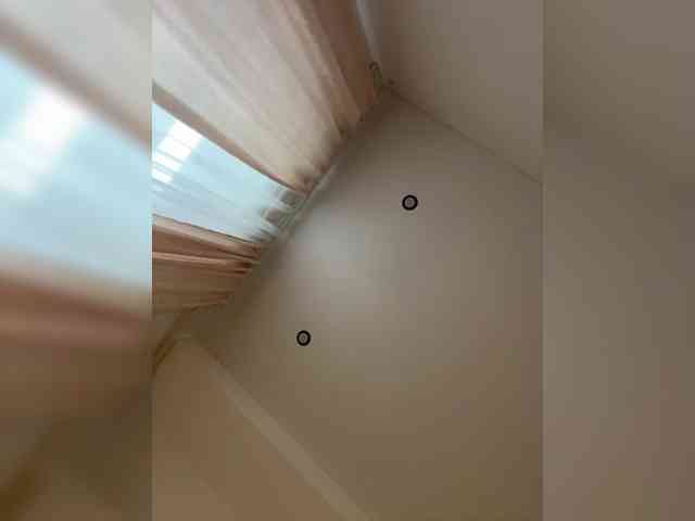 NotBellucci webcam