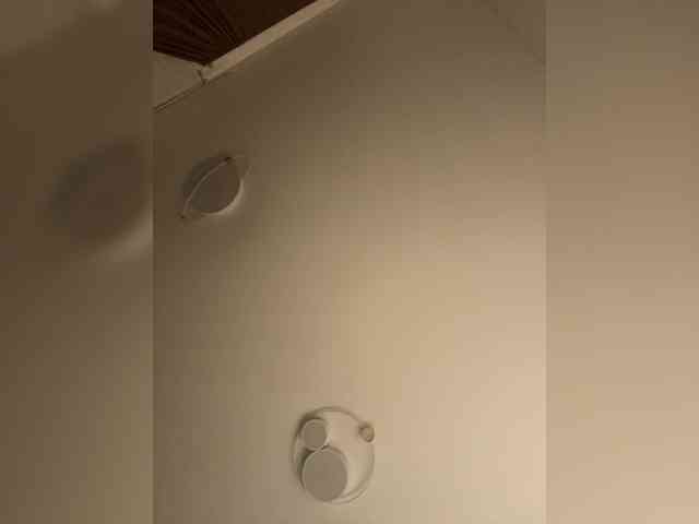 NotBellucci webcam