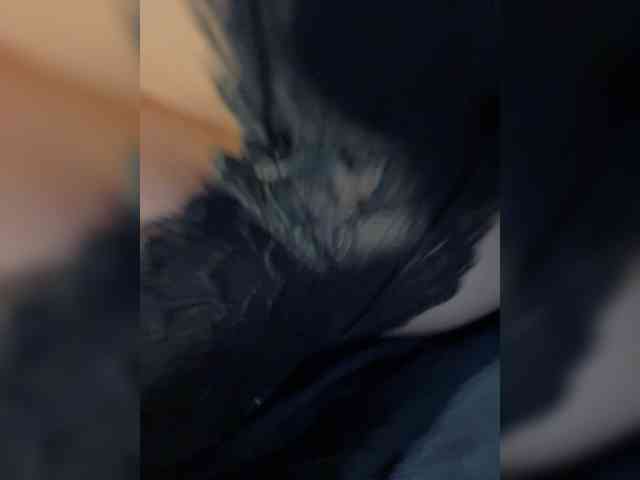 NotBellucci webcam