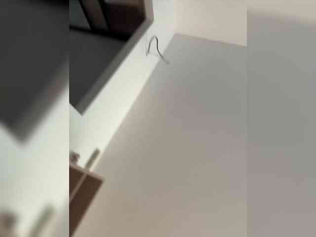 NotBellucci webcam
