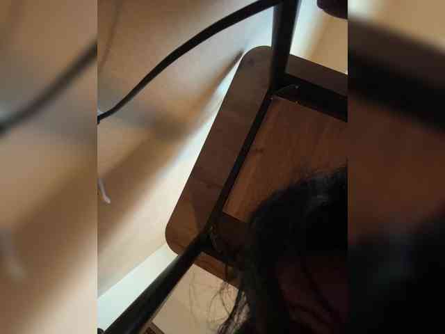 NotBellucci webcam