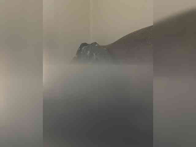 NotBellucci webcam