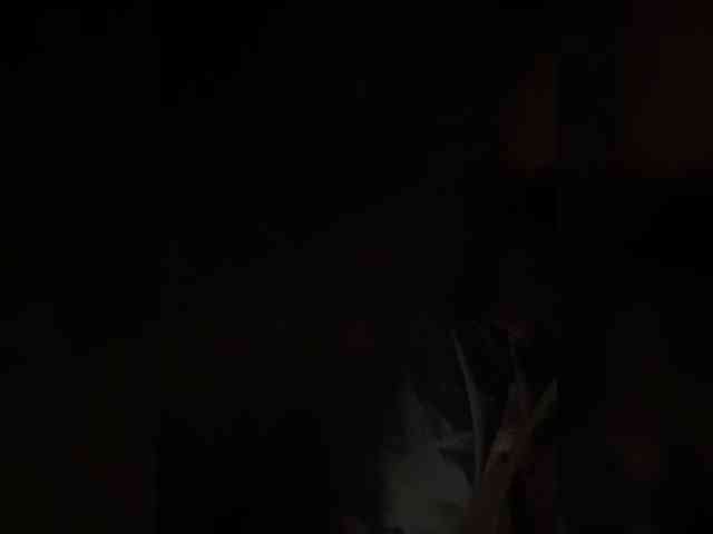 NotBellucci webcam