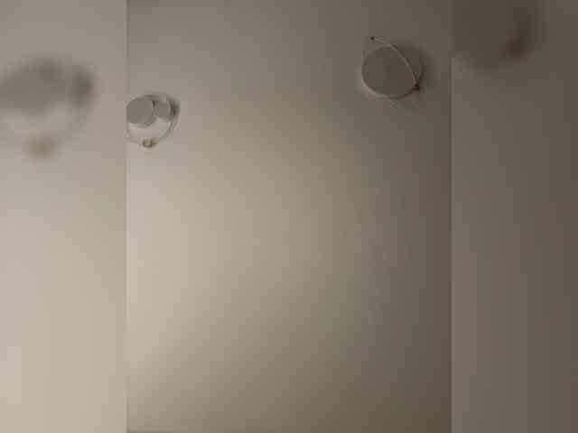 NotBellucci webcam