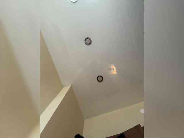 NotBellucci webcam