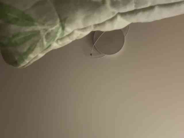 NotBellucci webcam