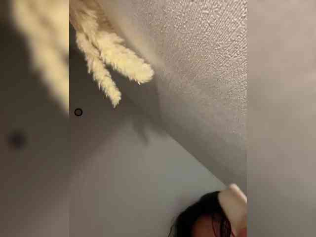 NotBellucci webcam