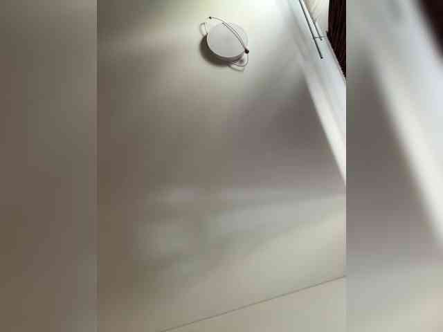 NotBellucci webcam