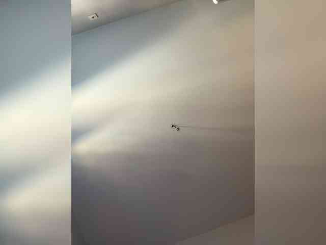 NotBellucci webcam