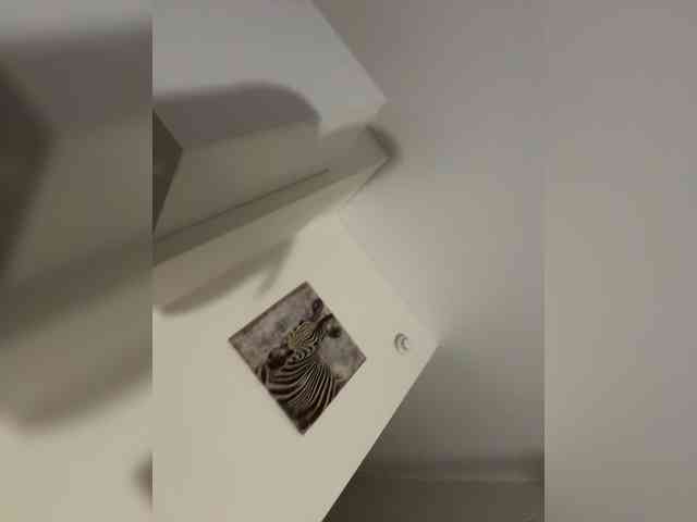 NotBellucci webcam