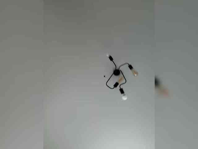 NotBellucci webcam