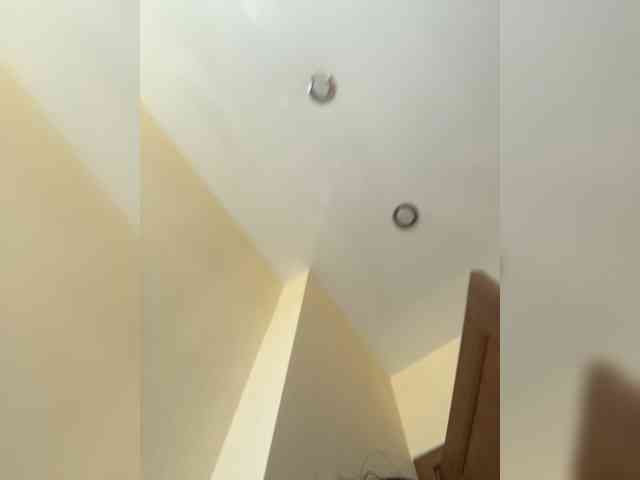 NotBellucci webcam