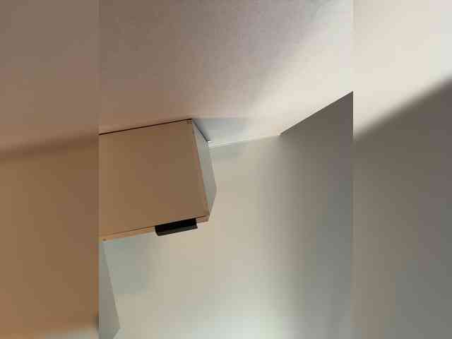 NotBellucci webcam