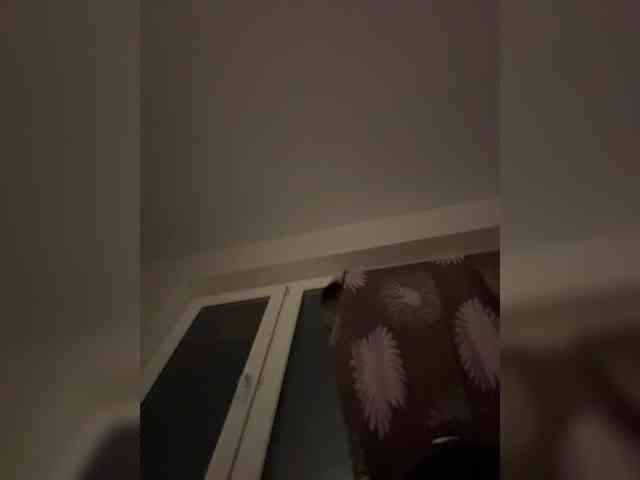 NotBellucci webcam