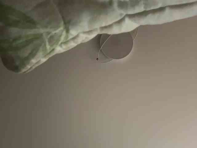 NotBellucci webcam
