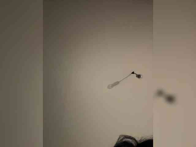 NotBellucci webcam