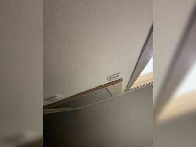 NotBellucci webcam