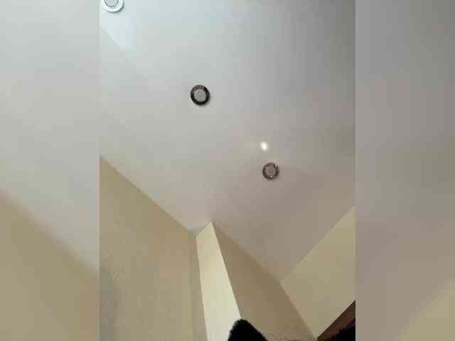 NotBellucci webcam