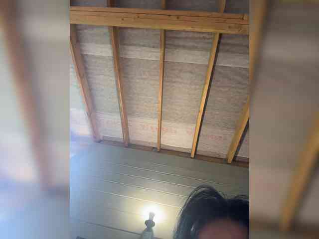 NotBellucci webcam
